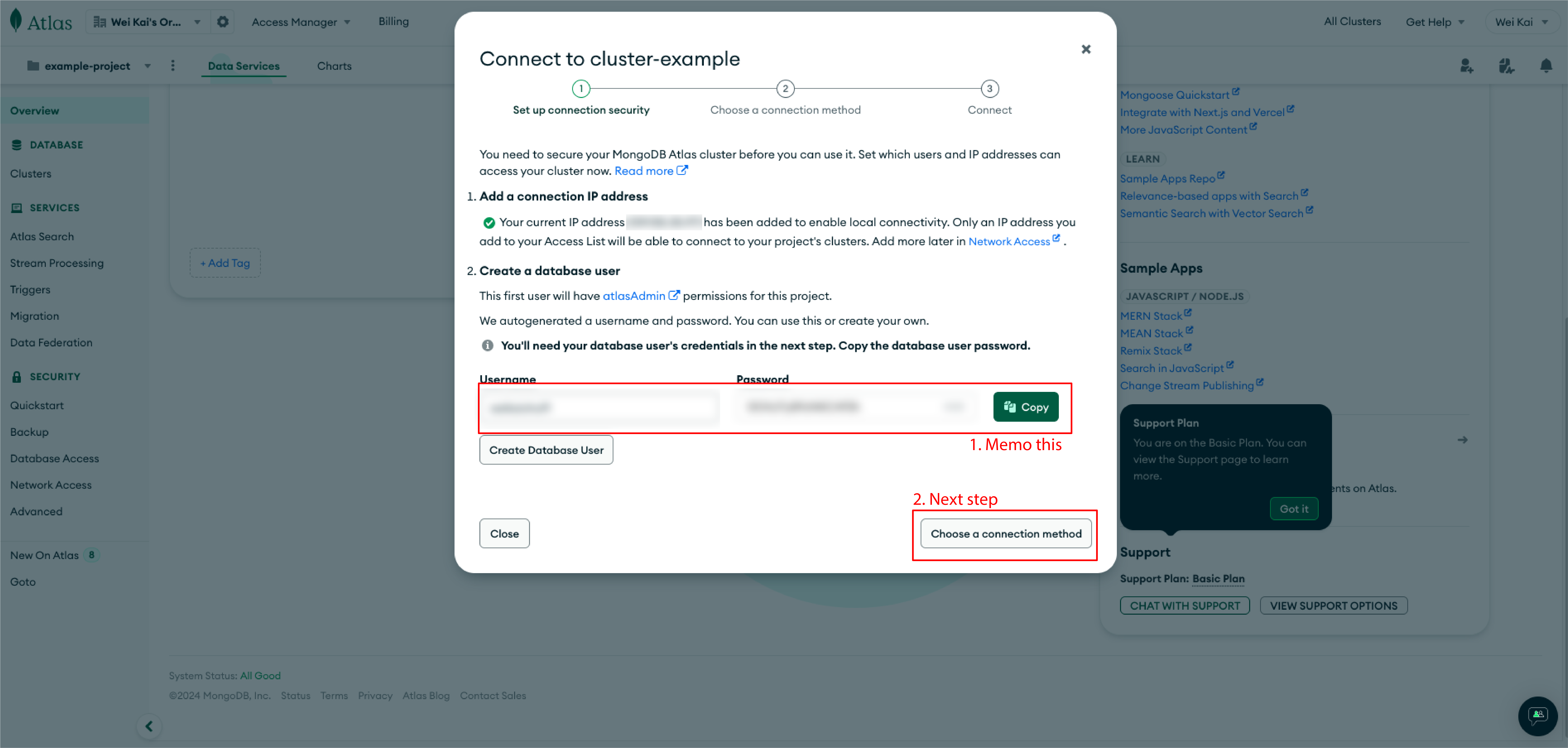 mongodb connection form